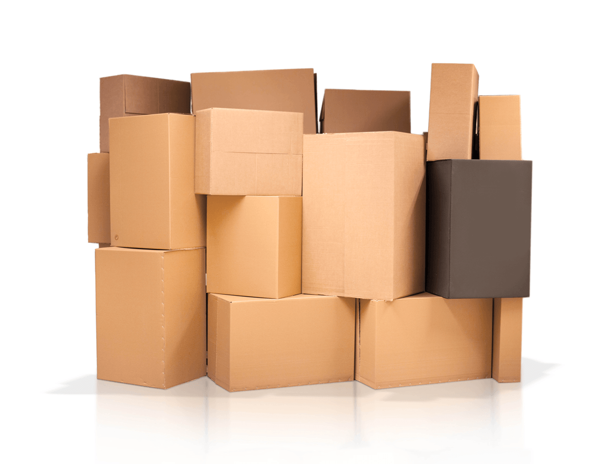 Manufacture carton boxes adhesives